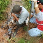"Presencia de crudo en los márgenes de la que fuera la laguna Shanshococha constatada esta mañana por el personal del OEFA"