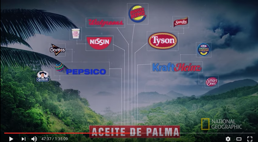 Algunas empresas que elaboran productos a partir del aceite de palma. Imagen: captura YouTube NatGeo