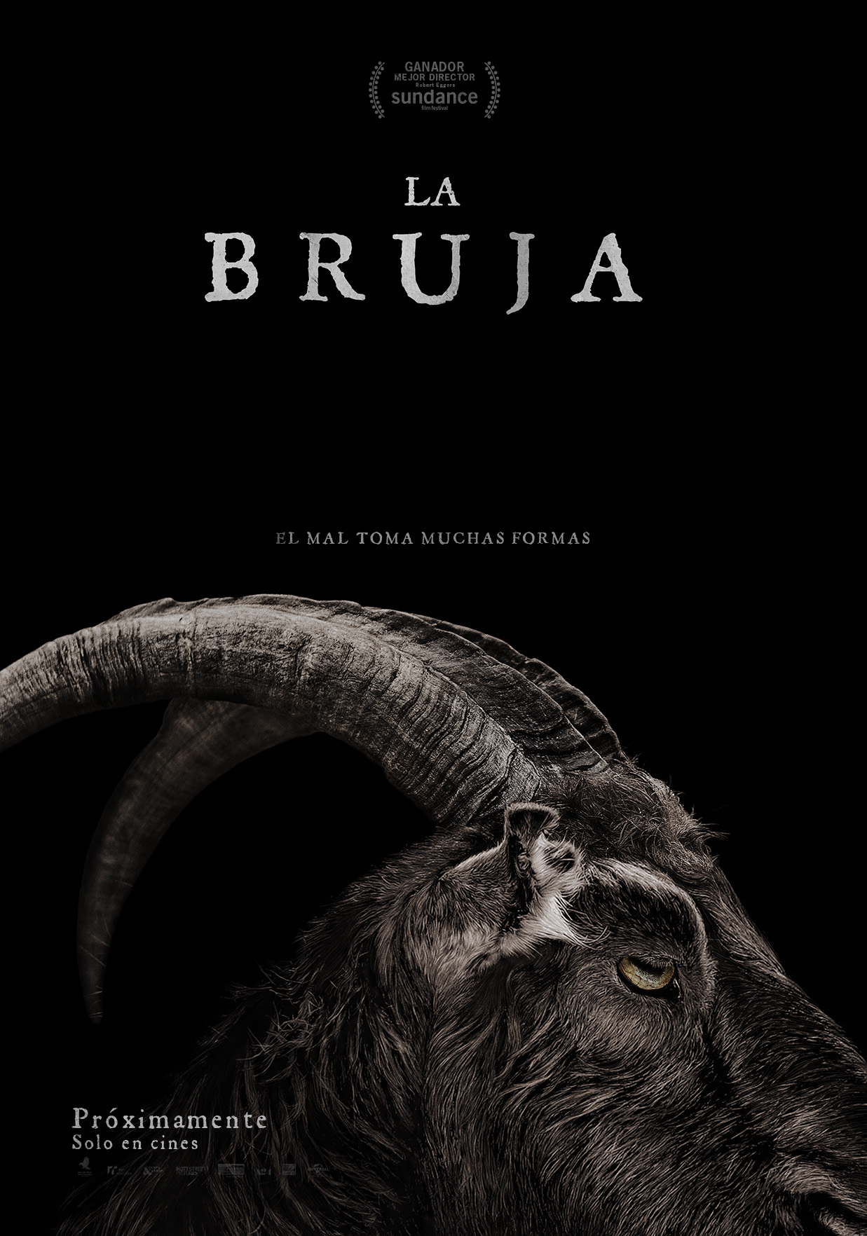 la-bruja-the-witch-poster-latino-espanol-mexico-terror-pelicula-2016-criticsight