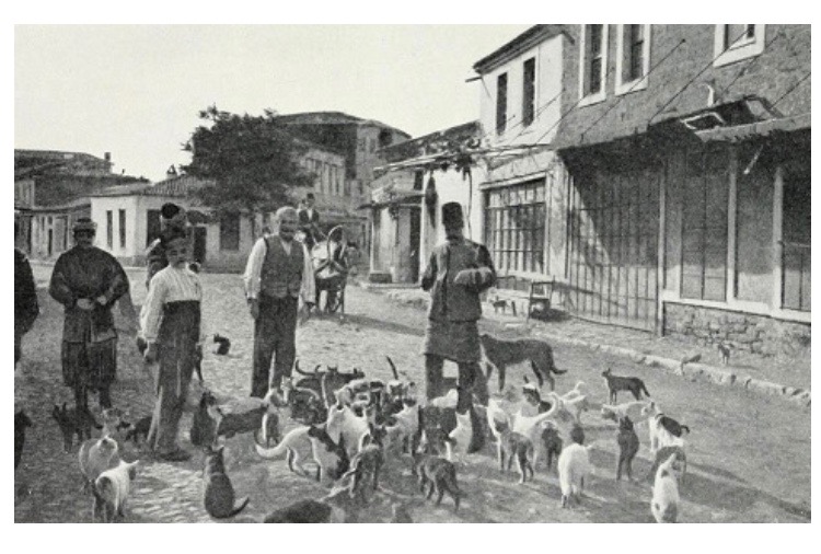 foto-antigua-personas-cuidando-de-animales-callejeros-durante-el-imperio-otomano