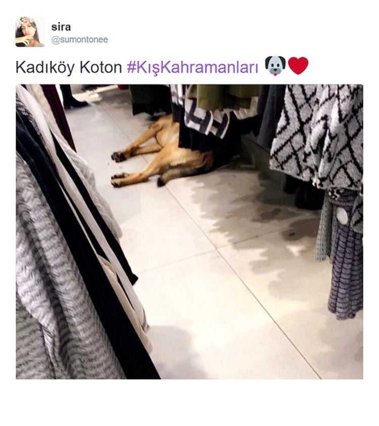 tienda-de-ropa-_koton_-en-kadiko%cc%88y-estambul