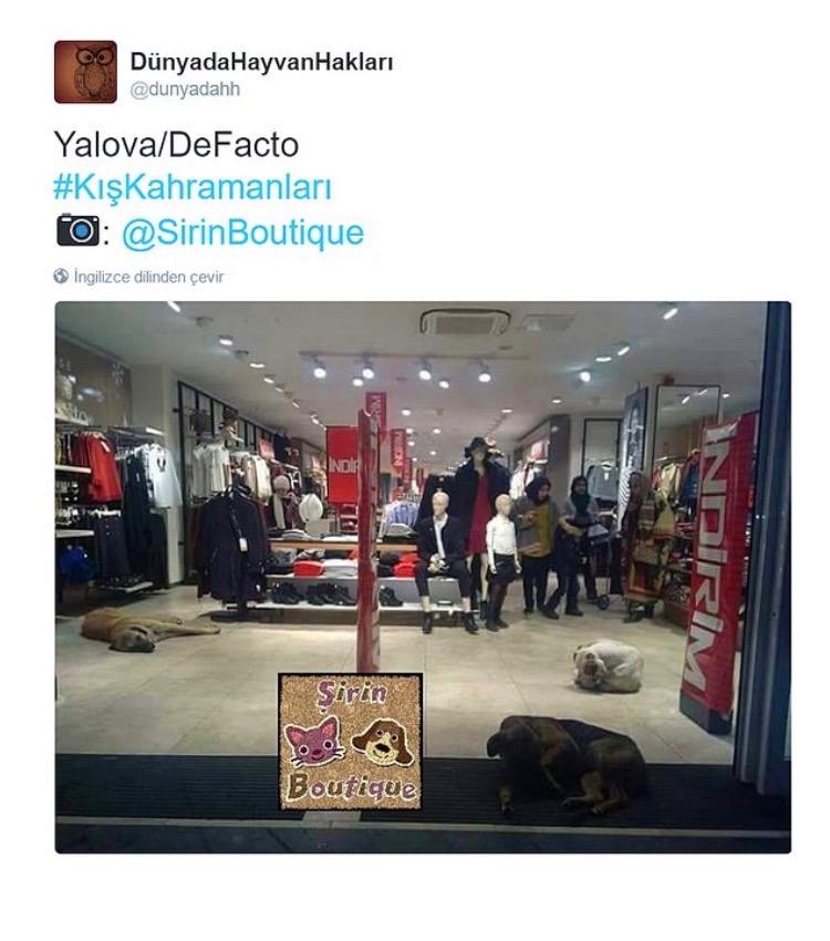 tienda-de-ropa-_sirin-boutique_-en-yalova