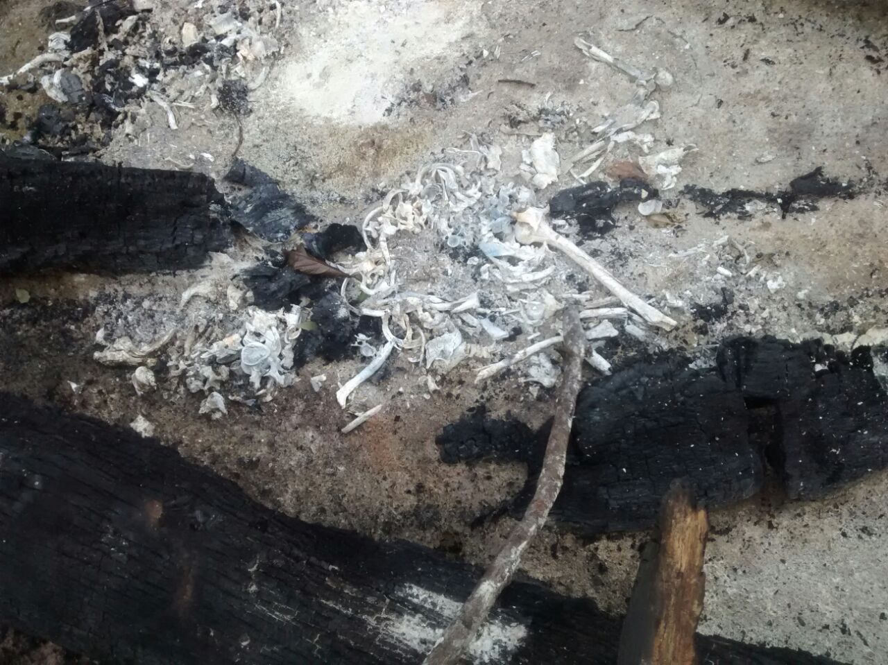 FOTO 17 - El quemadero, lugar donde incineraban a sus victimas, la banda criminal, Los Sanguinarios de la Pampa.