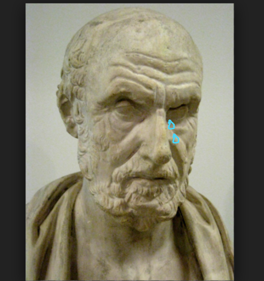 Tus palabras hicieron llorar a Hipócrates. Imagen: Wikipedia
