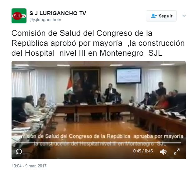 Concejo de Salud y Población. Imagen: SJL TV