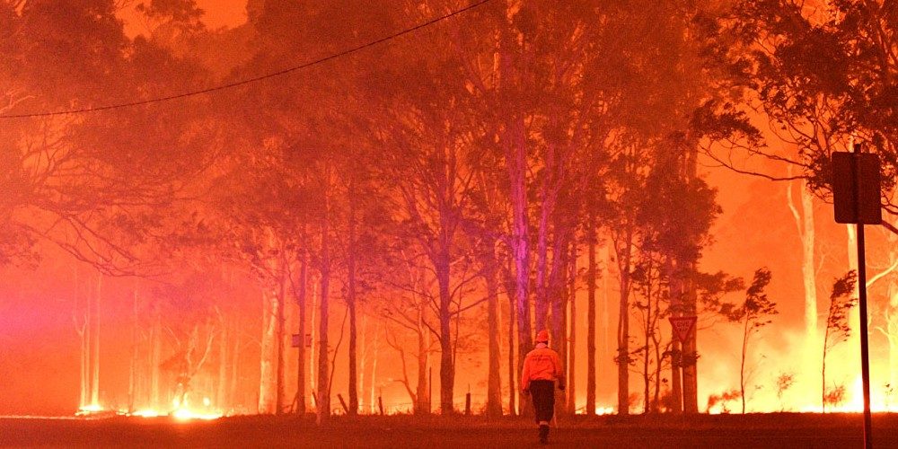 La alta frecuencia de los incendios forestales es inusual.