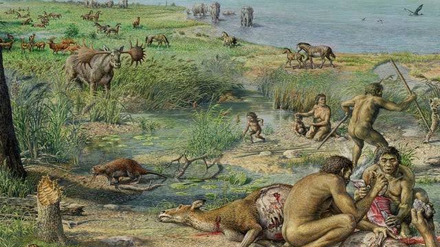La evolución del ser humano se dio principalmente en el paleolítico.