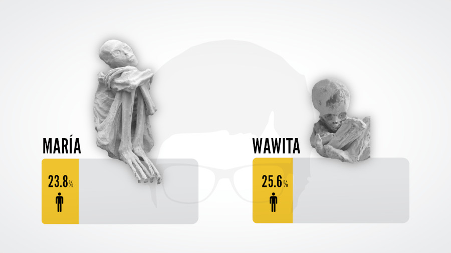 Momias María y Wawita. Porcentajes de ADN común con el Homo sapiens