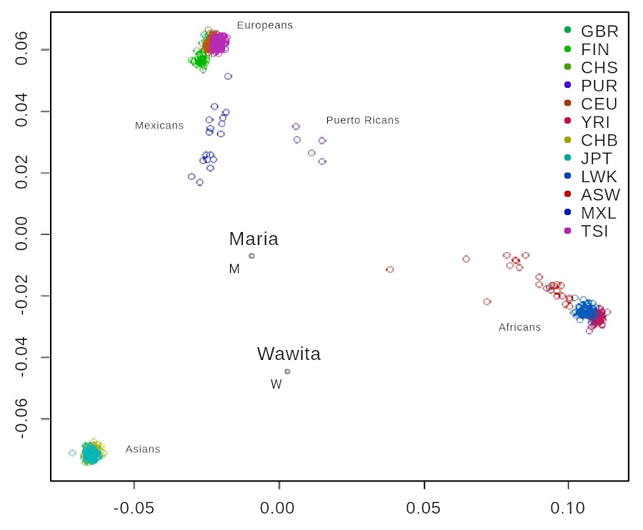 Diagrama del informe ruso: Proyecto 1000 Genomas y muestras de María y Wawita. Fuente: Antropogénesis